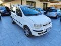 usato FIAT Panda