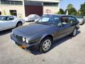 usato ALFA ROMEO GTV