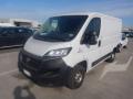 usato FIAT Ducato