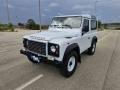 usato LAND ROVER Defender