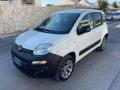 usato FIAT Panda