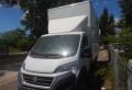 usato FIAT Ducato