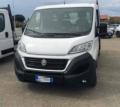 usato FIAT Ducato