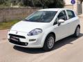 usato FIAT Punto