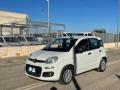 usato FIAT Panda