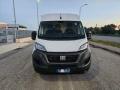 usato FIAT Ducato