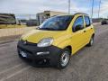 usato FIAT Panda