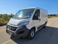 usato FIAT Ducato