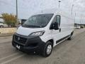 usato FIAT Ducato