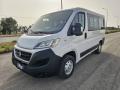 usato FIAT Ducato