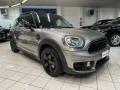 usato MINI Countryman