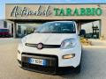 usato FIAT New Panda