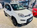 usato FIAT New Panda