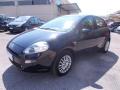 usato FIAT Punto