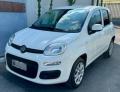 usato FIAT Panda