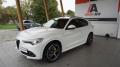 usato ALFA ROMEO Stelvio