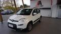 usato FIAT Panda