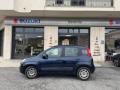 usato FIAT Panda