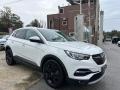 usato OPEL Grandland X