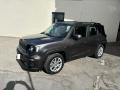 usato JEEP Renegade