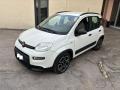 usato FIAT Panda