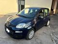 usato FIAT Panda