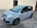 usato FIAT Panda