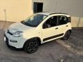 usato FIAT Panda