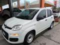 usato FIAT Panda