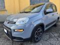 usato FIAT New Panda