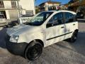 usato FIAT Panda