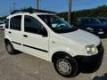 usato FIAT Panda