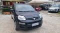 usato FIAT Panda