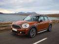 usato MINI Countryman