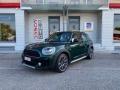 usato MINI Countryman