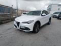 usato ALFA ROMEO Stelvio