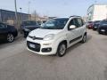 usato FIAT Panda