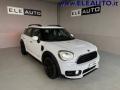 usato MINI Countryman