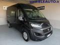 usato FIAT Ducato