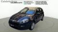 usato FIAT Punto Evo