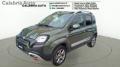 usato FIAT Panda Cross