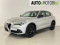 usato ALFA ROMEO Stelvio