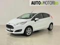 usato FORD Fiesta