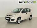 usato FIAT Panda