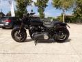 usato HARLEY DAVIDSON FXDF Fat Bob