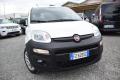 usato FIAT Panda