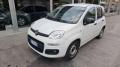 usato FIAT Panda