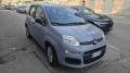 usato FIAT Panda