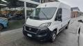 usato FIAT Ducato