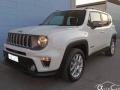 usato JEEP Renegade